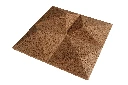 OB Peak Natural Persp.webp