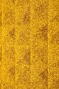 Muratto15#Peak_Yellow_0564 - Cópia (2).webp