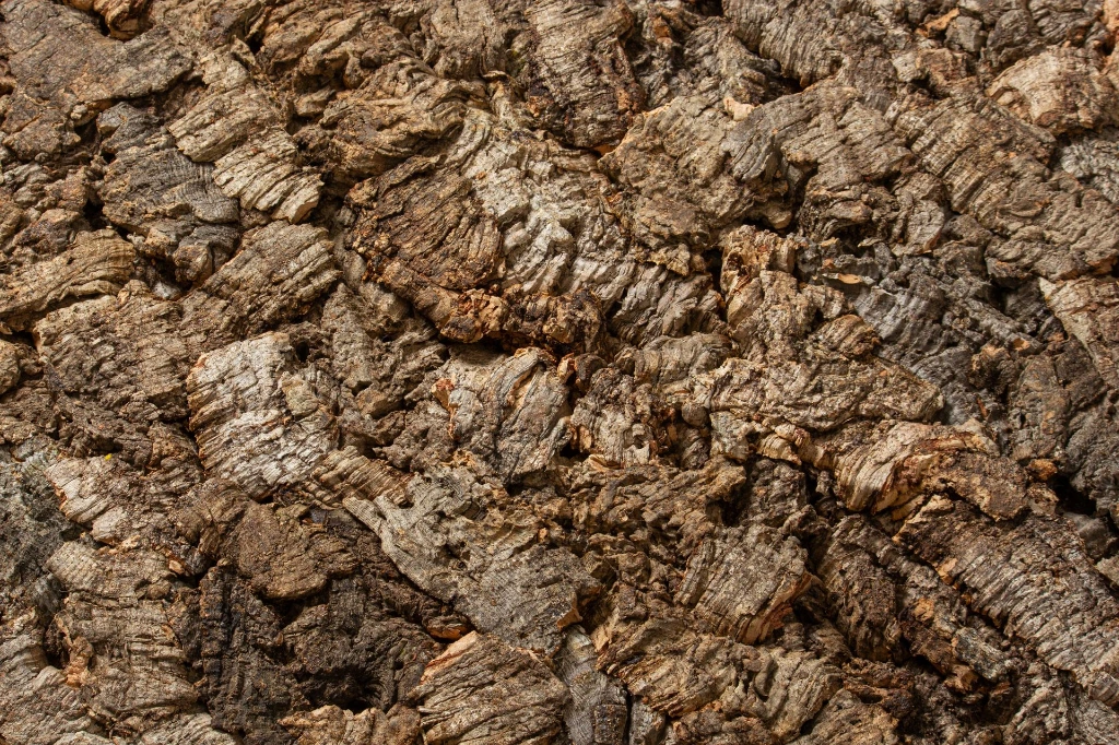 virgin detail 2 - natural.webp