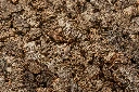 virgin detail 2 - natural.webp