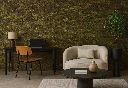 living room virgin tree green.webp
