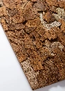 skin detail - natural.webp