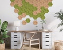HEXAGON