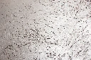 Serge detail.webp