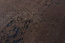 Leather detail.webp