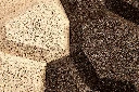 beehive detail.webp